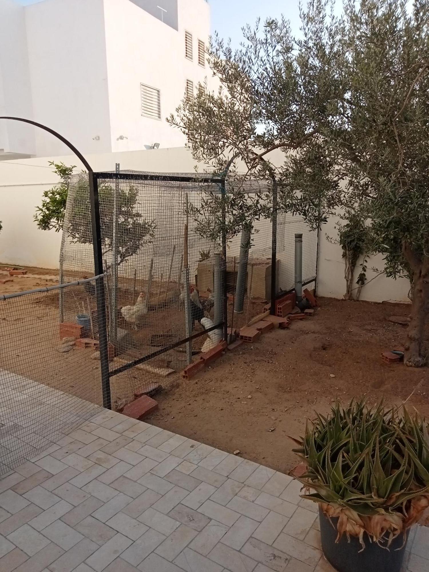 Bed and Breakfast Chez Mme Jaouida Kairouan Exterior foto